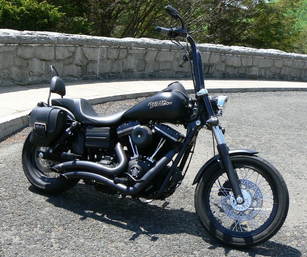 dyna 2 up seat